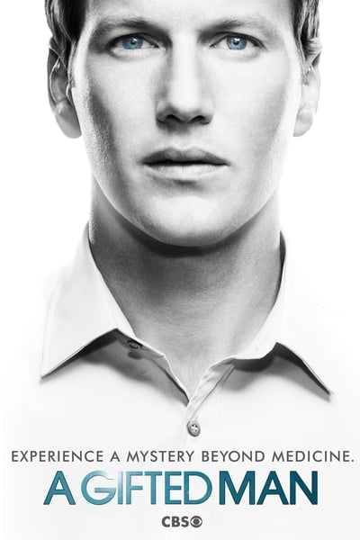 A Gifted Man - Saison 1