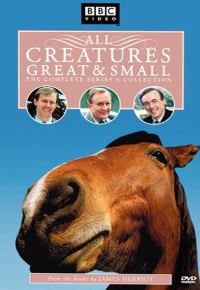 All Creatures Great and Small - Saison 5