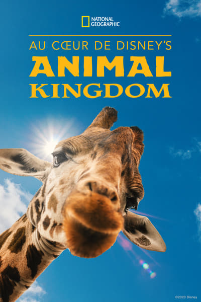 Au cœur de Disney’s Animal Kingdom (Magic of Disney's Animal Kingdom) - Saison 1