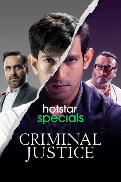Criminal Justice - Saison 1
