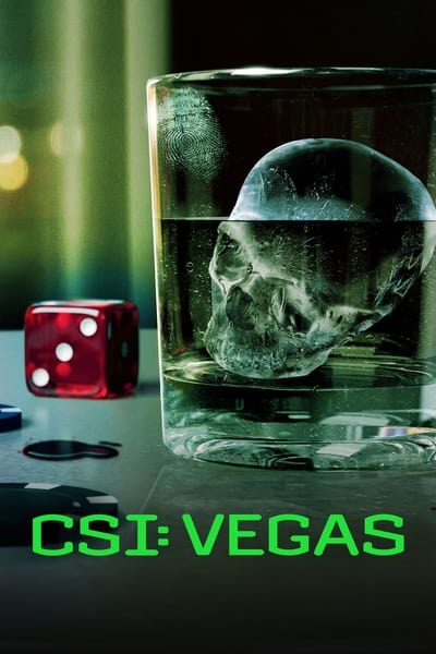 CSI: Vegas - Saison 3