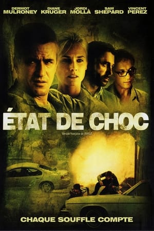 Etat de choc