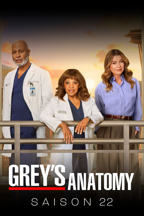 Grey's Anatomy - Saison 22