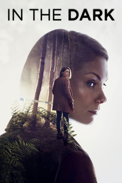 In the Dark - Saison 1