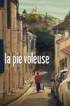 La pie voleuse