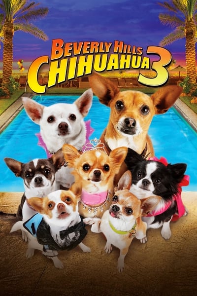 Le Chihuahua de Beverly Hills 3 : Viva la Fiesta !