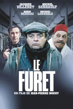 Le furet