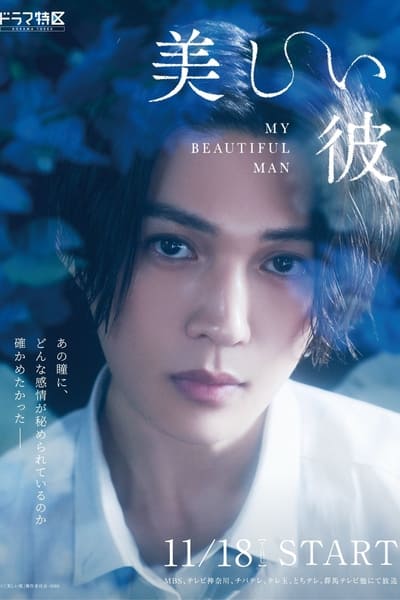 My Beautiful Man - Saison 1