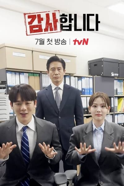 The Auditors - Saison 1