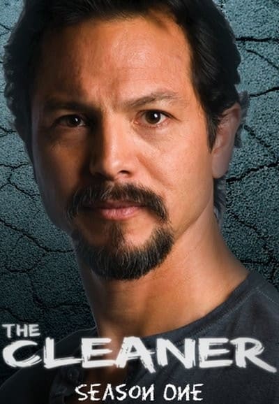 The Cleaner - Saison 1