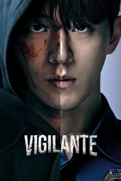 Vigilante - Saison 1
