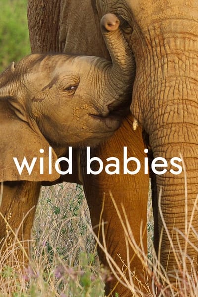 Wild Babies : Petits et Sauvages - Saison 1