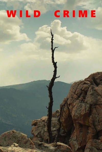Wild Crime - Saison 1